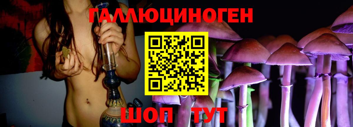 Псилоцибиновые грибы Cubensis Партизанск